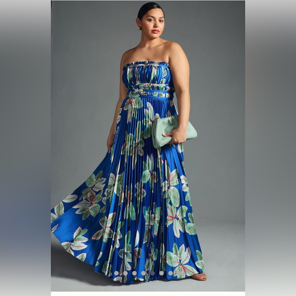 Hutch pleated strapless maxi dress